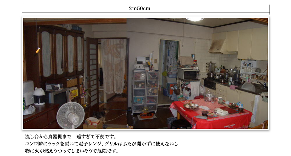流し台から食器棚まで　遠すぎて不便です。コンロ隣にラックを置いて電子レンジグリルはふたが開かずに使えないし物に火が燃えうつってしまいそうで危険です。